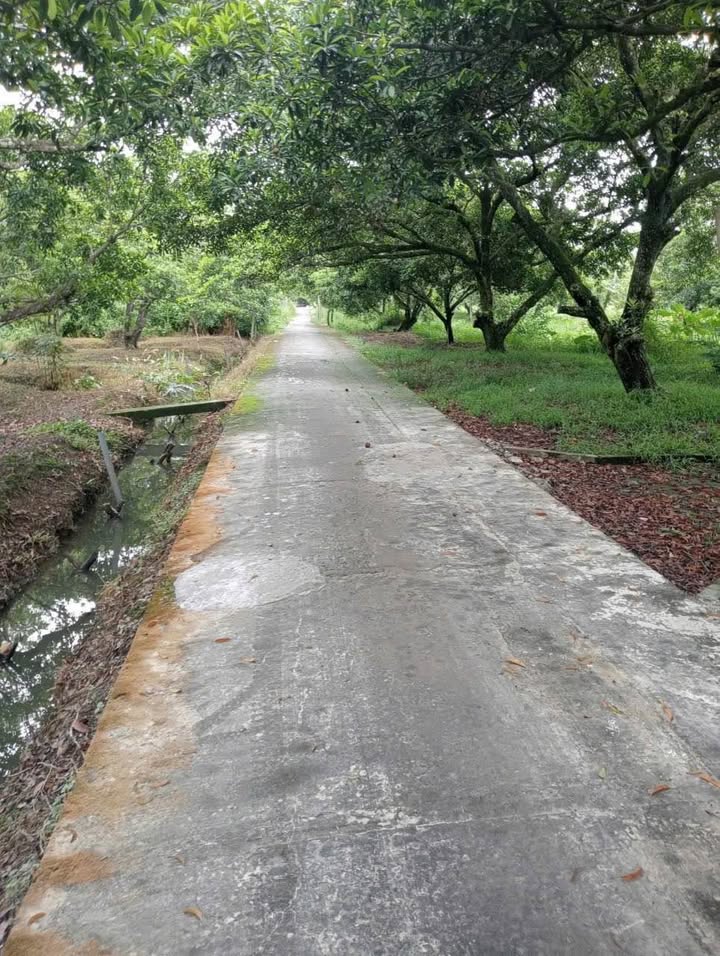 Đất nền liền kề mặt tiền ĐT864, Châu Thành, Tiền Giang - Giá chỉ 700 triệu/nền!