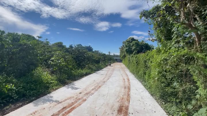 Đất thổ cư 196m² tại xã Ea Ral, huyện Ea H'leo - Sổ đỏ chính chủ chỉ 6.5 tỷ!