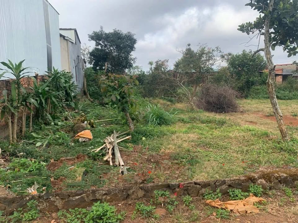 Đất thổ cư Hẻm Nguyễn Thái Học, Bình Tân, 105m² giá 355 triệu - Sổ đỏ chính chủ!