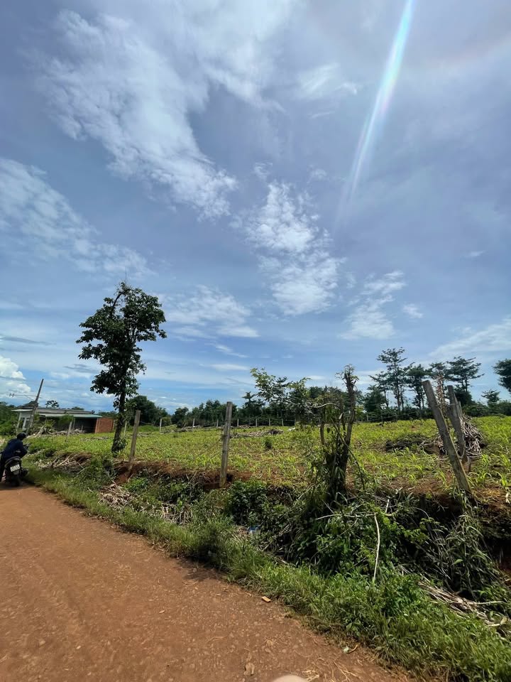 Đất nền mặt tiền đường Lý Chính Thắng, 230m² chỉ 565 triệu - Đầu tư sinh lời ngay!