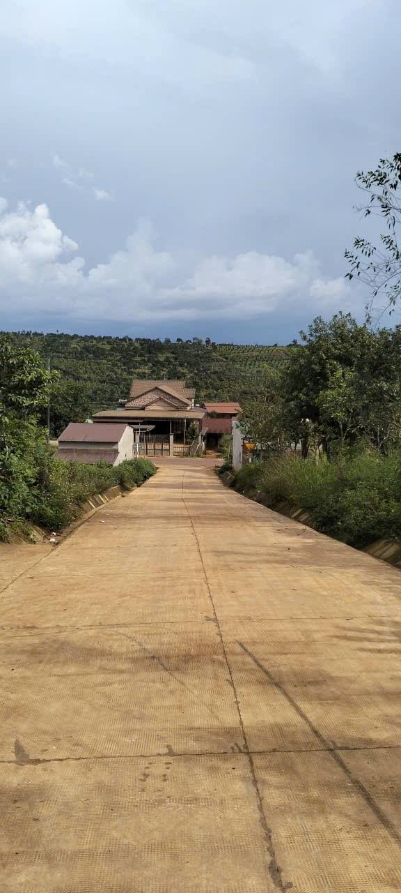 Nhà cấp 4 304m² tại Đức An, Lâm Đồng - Giá 800 triệu, thương lượng được!