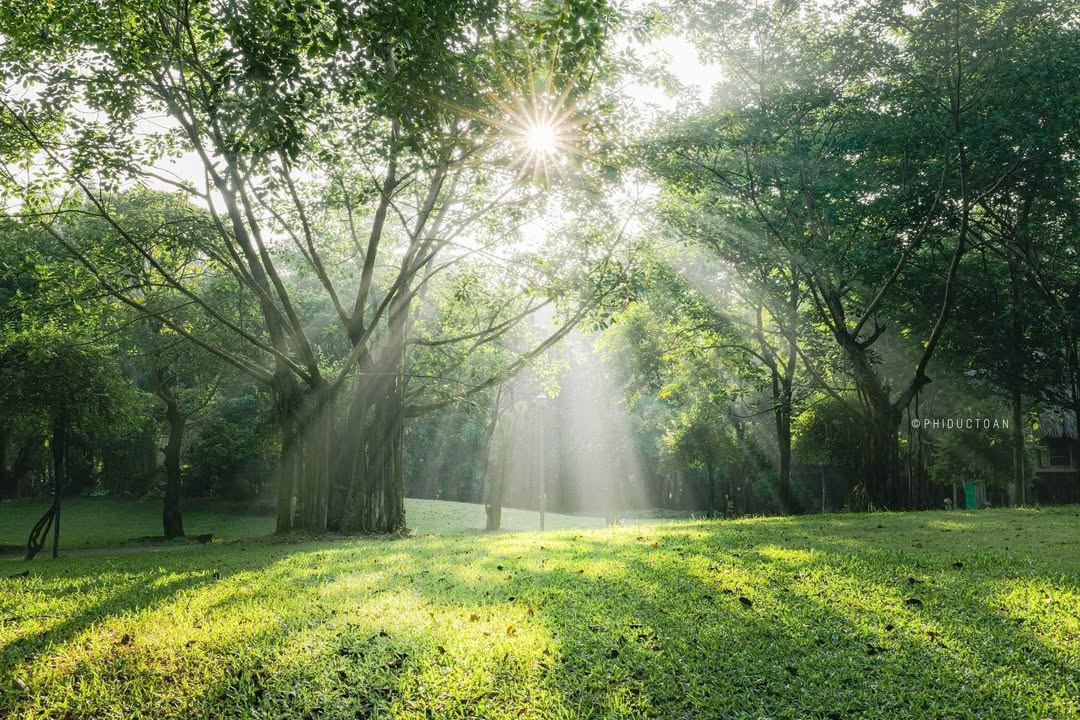 Căn hộ Chung cư Rừng Cọ Hưng Yên 92m² giá 4.5 tỷ - Tầng trung view đẹp, đầy đủ nội thất!