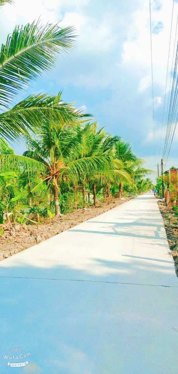 Đất nền đẹp Kinh 19/5 Tân Hiệp 1570m² giá 1.2 tỷ - Cơ hội đầu tư tuyệt vời!