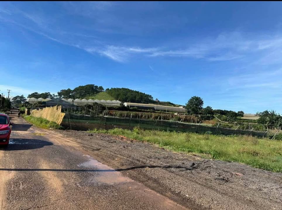 Đất nền Quảng Lập, Đơn Dương, Lâm Đồng 450m² chỉ 900 triệu - View đồi núi tuyệt đẹp!