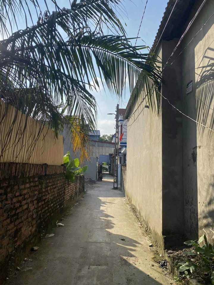 Đất chính chủ 60m² tại Nam Viêm, giá chỉ 900 triệu - Cơ hội đầu tư hấp dẫn!