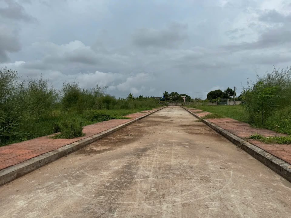 Bán đất nền sổ đỏ tại Nam Thịnh, Tiền Hải - Diện tích 100m², cơ hội đầu tư hấp dẫn!