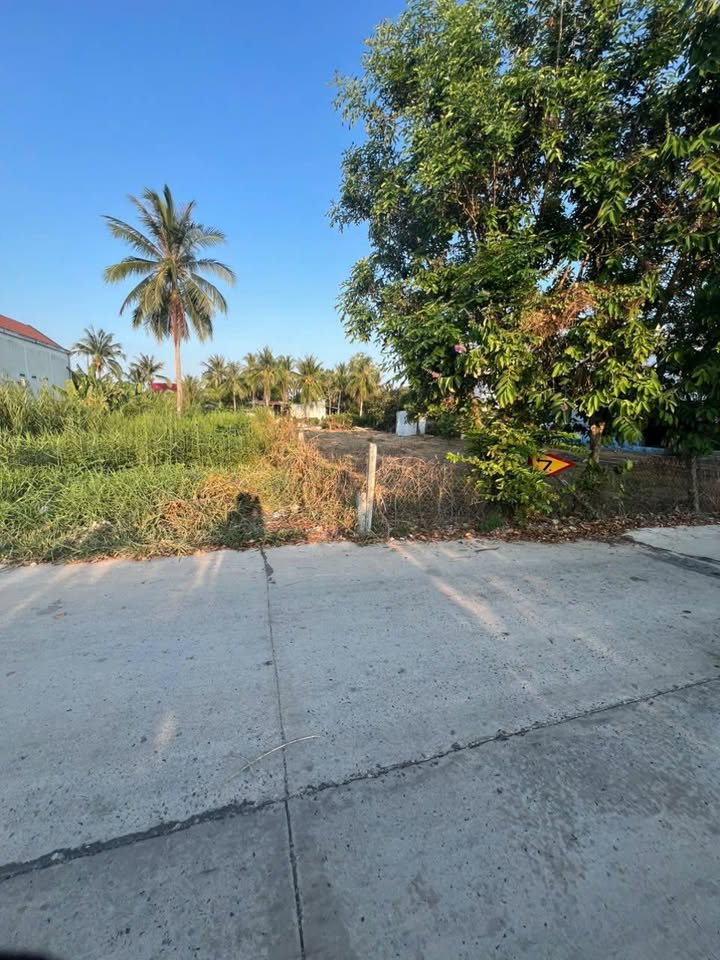 Đất mặt tiền lộ Cà Mau, phường Hòa Thành 186m² giá 850 triệu - Cơ hội đầu tư hấp dẫn!