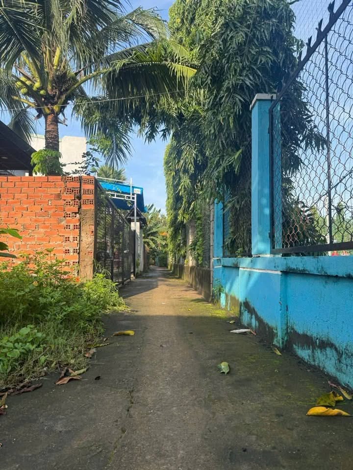 Đất thổ cư đường Đỗ Tấn Phong, Tân Đông Hiệp 79m² giá 1.55 tỷ - Đầu tư sinh lời ngay!