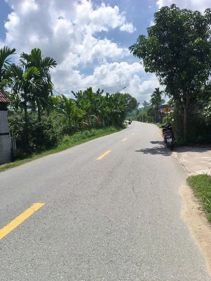 Đất nền đầu tư tại xã Sơn Tịnh, Quảng Ngãi 464m² - Mặt tiền đường nhựa 622C