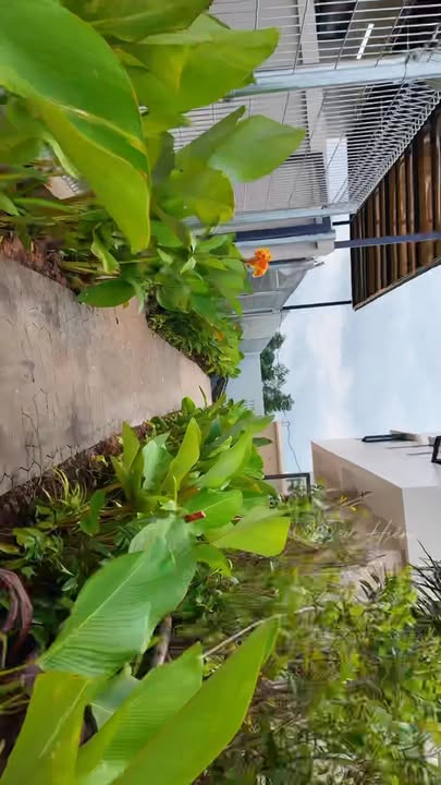 Nhà phố The Oasis Riverside 80m² giá 2.45 tỷ - Sẵn sàng an cư!