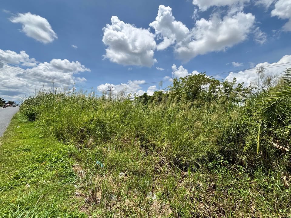 Đất mặt tiền QL 1A, Cái Nước, Cà Mau, 3820m², giá 4.1 tỷ - Đầu tư sinh lời ngay!