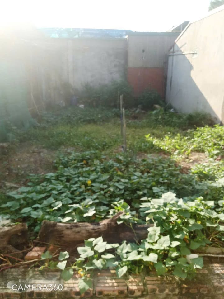 Đất nền Đại Mạch 46m² giá 2.5 tỷ - Pháp lý rõ ràng, giao dịch nhanh chóng!