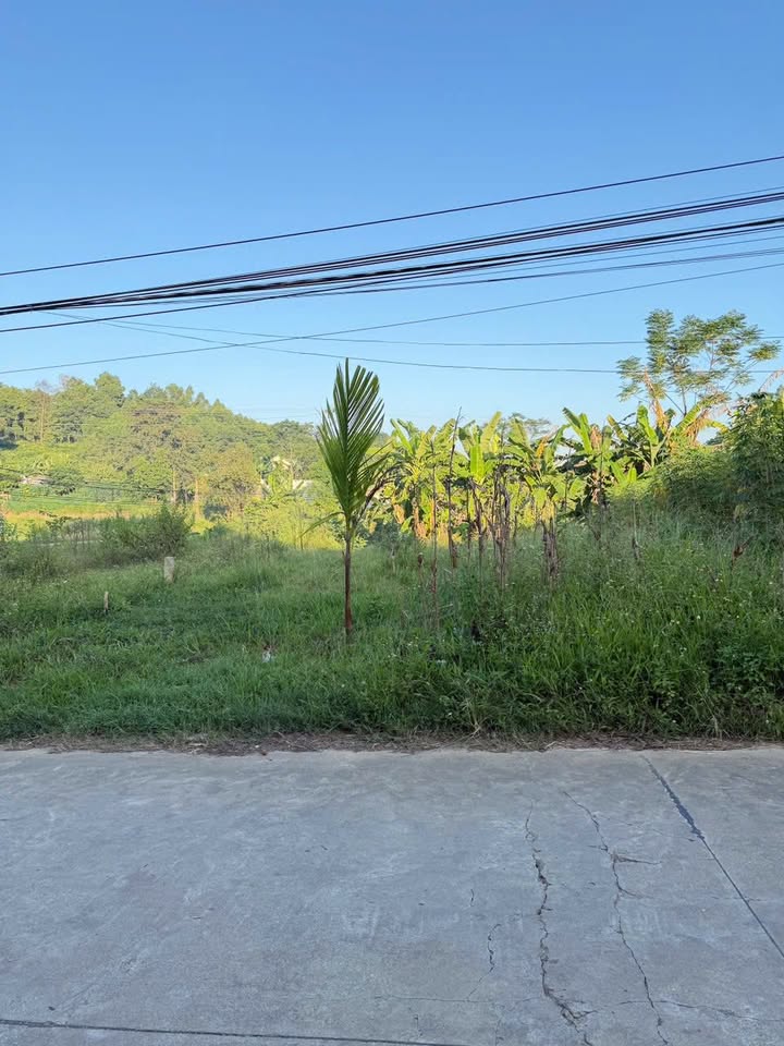 Đất thổ cư 250m² tại Khải Xuân, Thanh Ba - Kinh doanh đa ngành nghề, giá tốt!