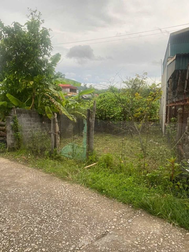 Đất nền Yên Tử 115m² giá 1 tỷ - Vị trí đắc địa, giao thông thuận lợi!