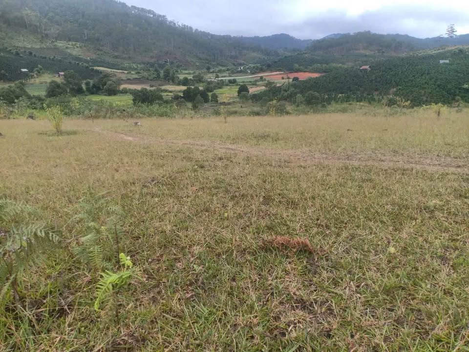 Đất nền 1ha tại xã Lạc Dương - Giá thỏa thuận, thích hợp làm vườn!