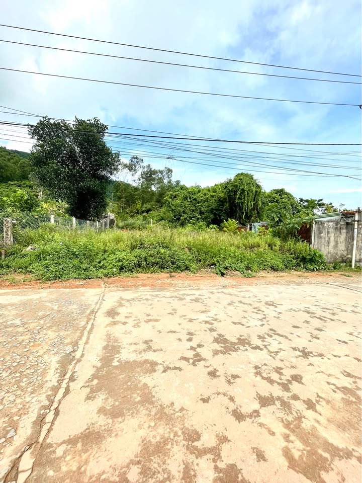 Đất thổ cư 230m² tại Tdp3, xã Phú Lộc, TP. Huế - Giá chỉ 900 triệu!