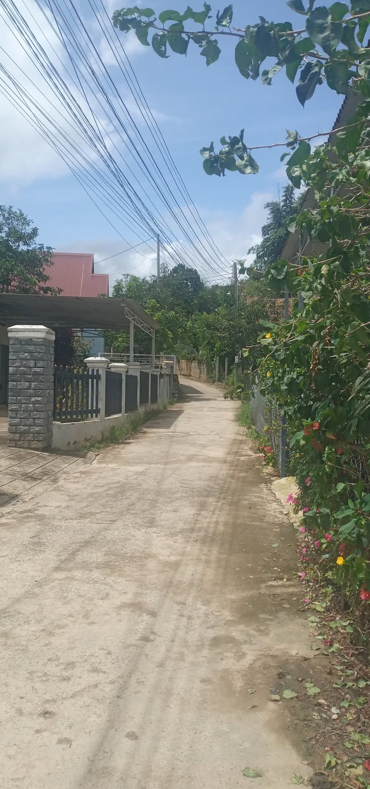 Đất vườn hồng Dran 1206m² giá 600 triệu - Cơ hội đầu tư hấp dẫn!