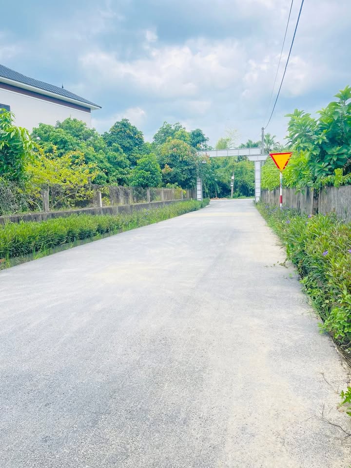 Đất nền Tân Lâm Hương 132m² giá 1.3 tỷ - Mặt tiền siêu đẹp, đầu tư sinh lời!