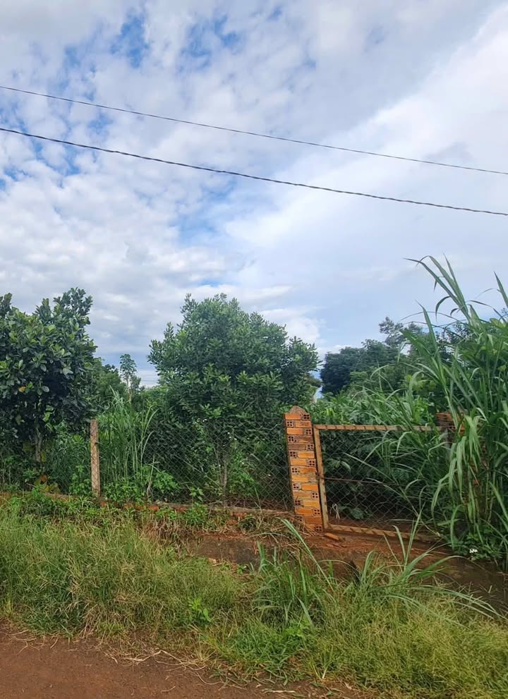 Đất nền 2 mặt tiền Phú Xuân 1000m² giá 1.55 tỷ - Đầu tư sinh lời ngay!