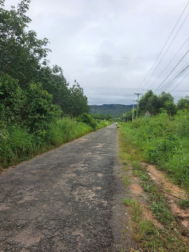 Đất thổ cư thôn 4 Hòa Bình, Kon Tum 2220m² - Thích hợp làm nhà vườn và khu nghỉ dưỡng!