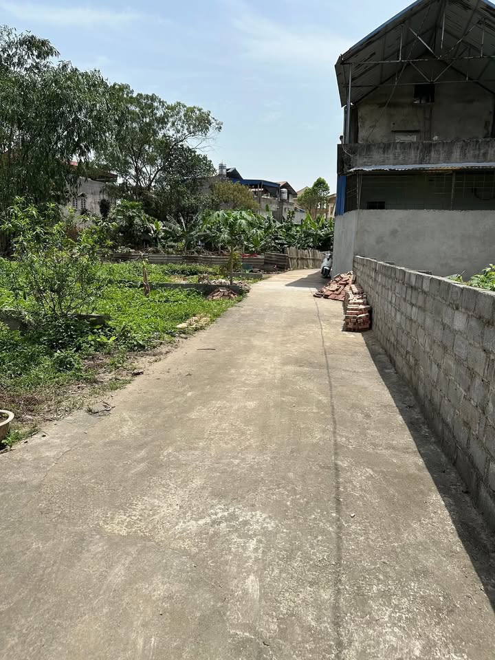 Đất nền phường Phan Đình Phùng 115m² giá 1.7 tỷ - Đường ô tô vào tận nơi!