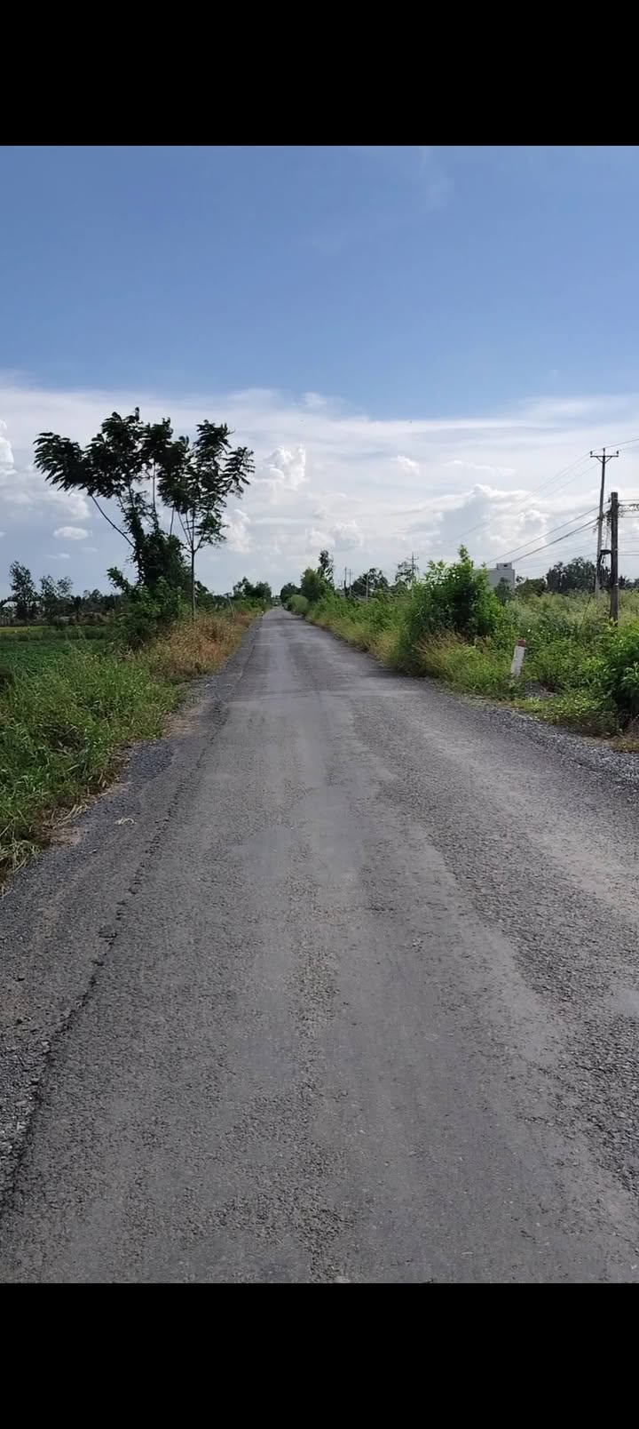 Đất Farm 10.000m² tại xã Thuận Bình, Thạnh Hóa - Giá chỉ 1.6 tỷ, đầu tư sinh lời!