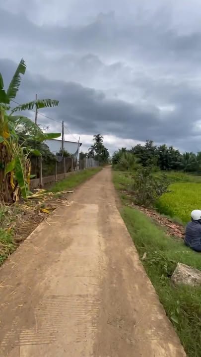 Đất nền đẹp xã Krông Pắc 400m² giá chỉ 590 triệu - View cánh đồng mát mẻ!