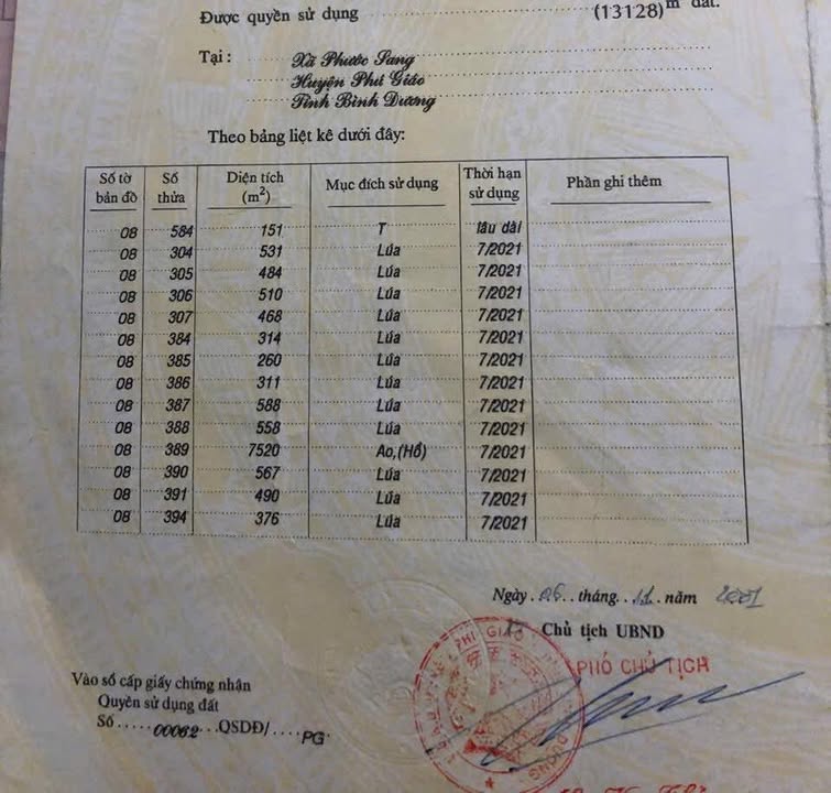 Đất nông nghiệp Phước Sang - Phú Giáo 13,000m² giá 3 tỷ - Mặt tiền thuận lợi cho đầu tư!