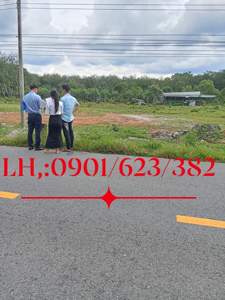 Đất nền Bàu Bàng 225m² giá chỉ 350 triệu - Sổ hồng riêng, pháp lý rõ ràng!