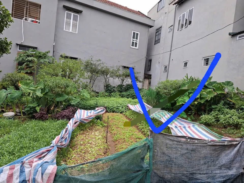 Đất nền đẹp phường Việt Trì, TP Việt Trì 96.5m² giá 3 tỷ - Đầu tư sinh lời hiệu quả!