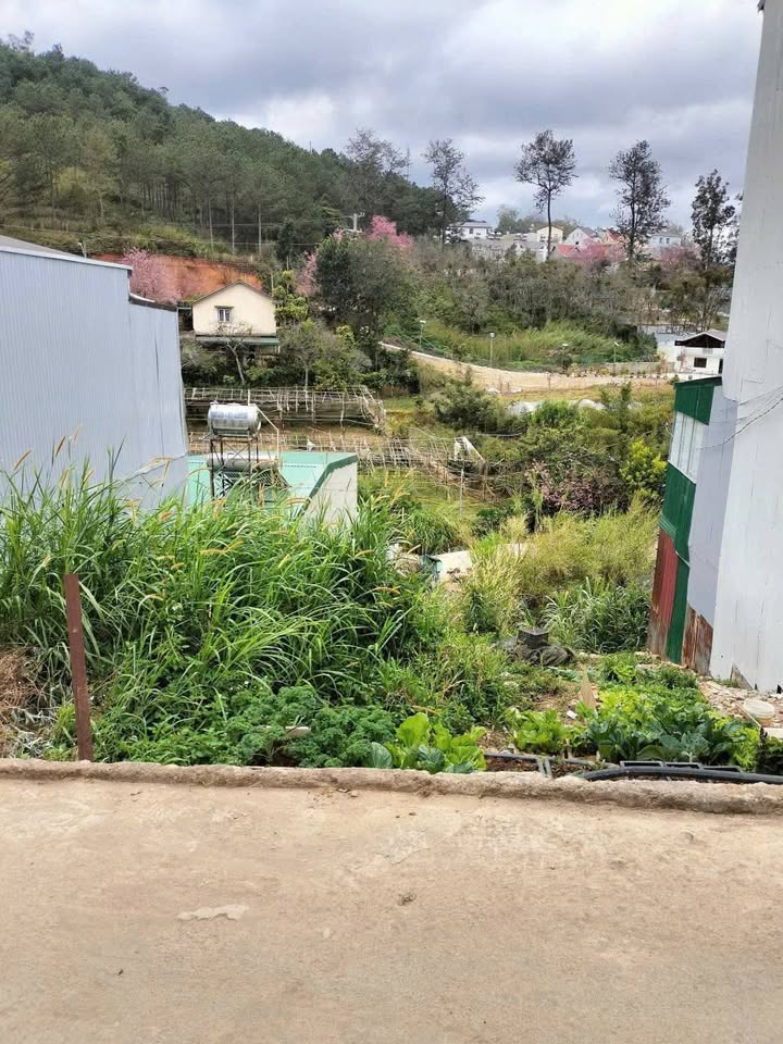 Đất Hùng Vương P10 Đà Lạt 102m² giá 1,65 tỷ - Sổ đỏ chính chủ, ô tô vào tận nơi!