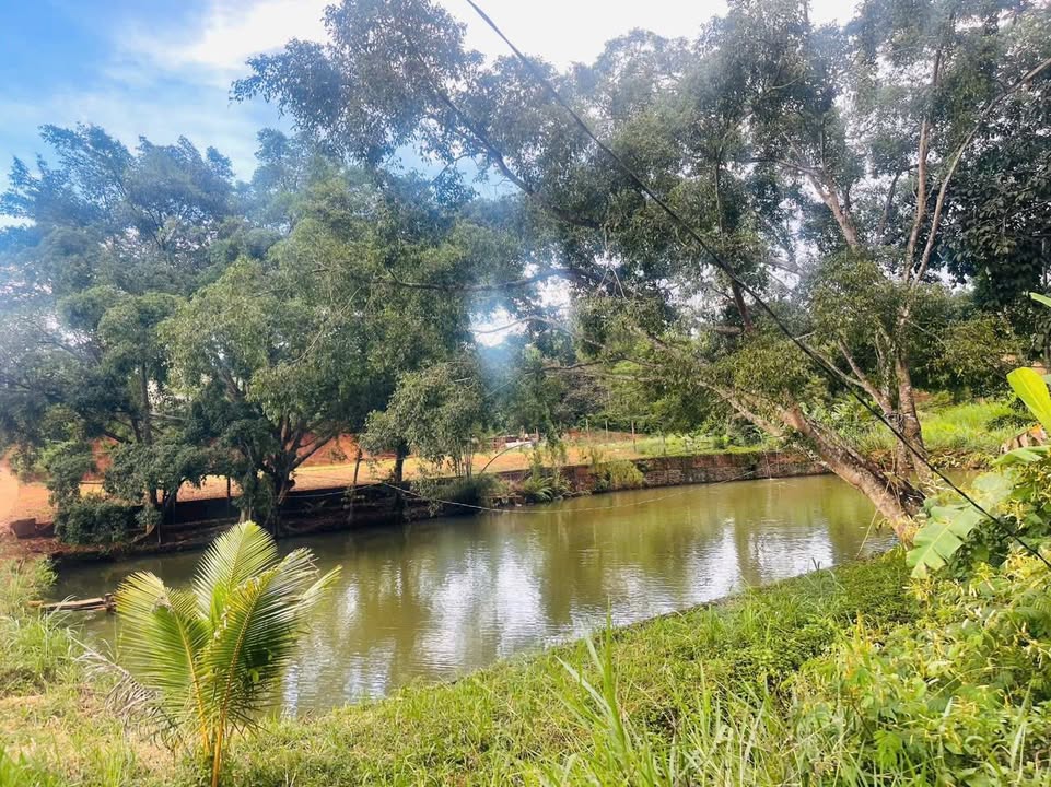 Đất nền 1000m² đường Lý Thái Tổ, Gia Nghĩa - Giá chỉ 1.45 tỷ