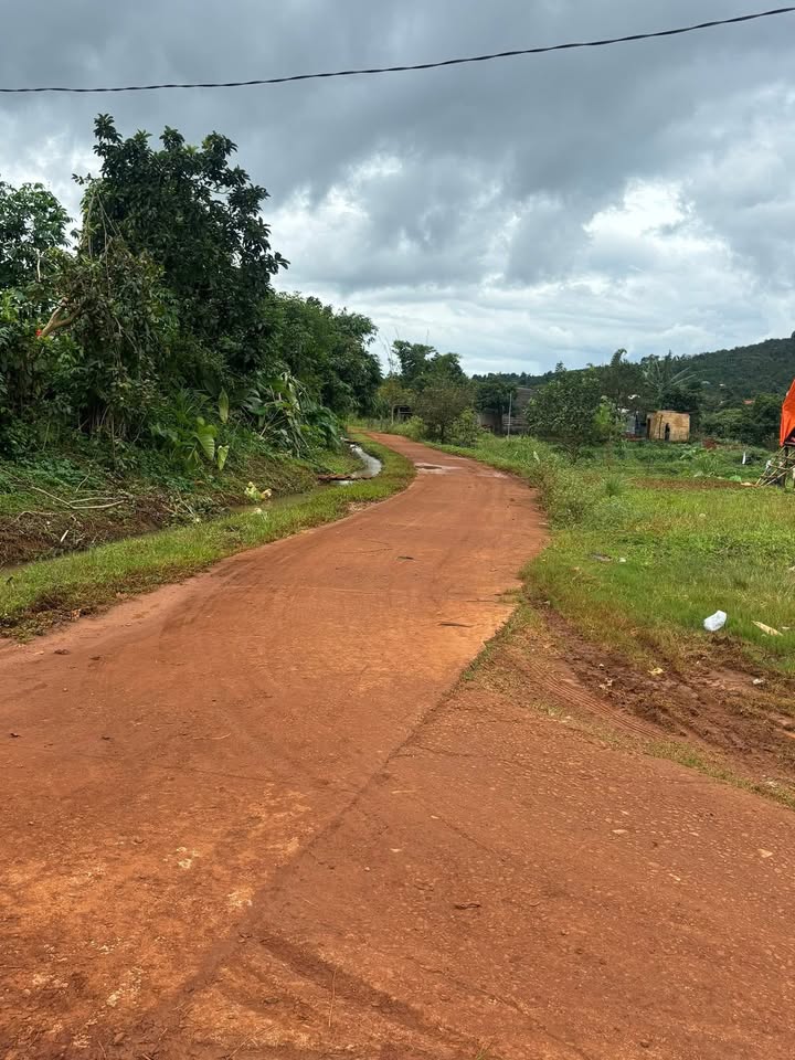 Đất nền Đắk R'Tih 700m² giá 250 triệu - Sổ đỏ chính chủ, đầu tư sinh lời!