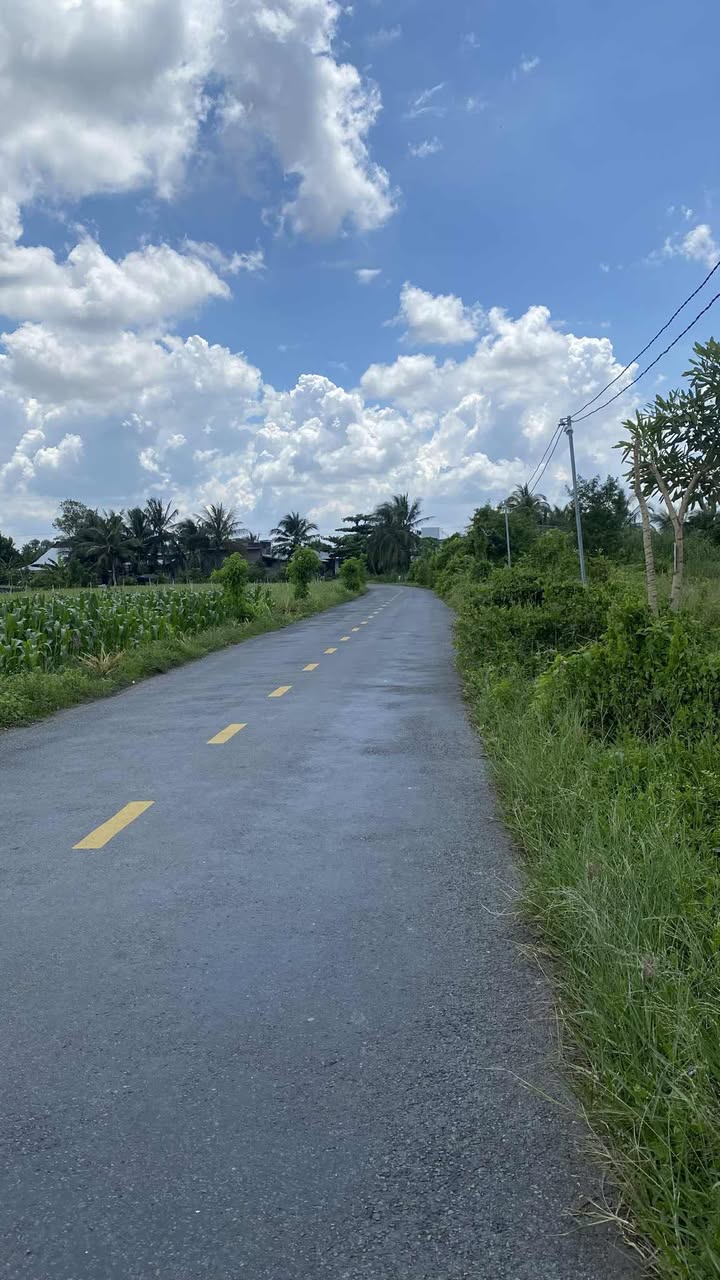 Đất nền mặt đường Lâm Nhung, xã Thanh Hưng, 300m² giá 1.25 tỷ - Cơ hội đầu tư tuyệt vời!