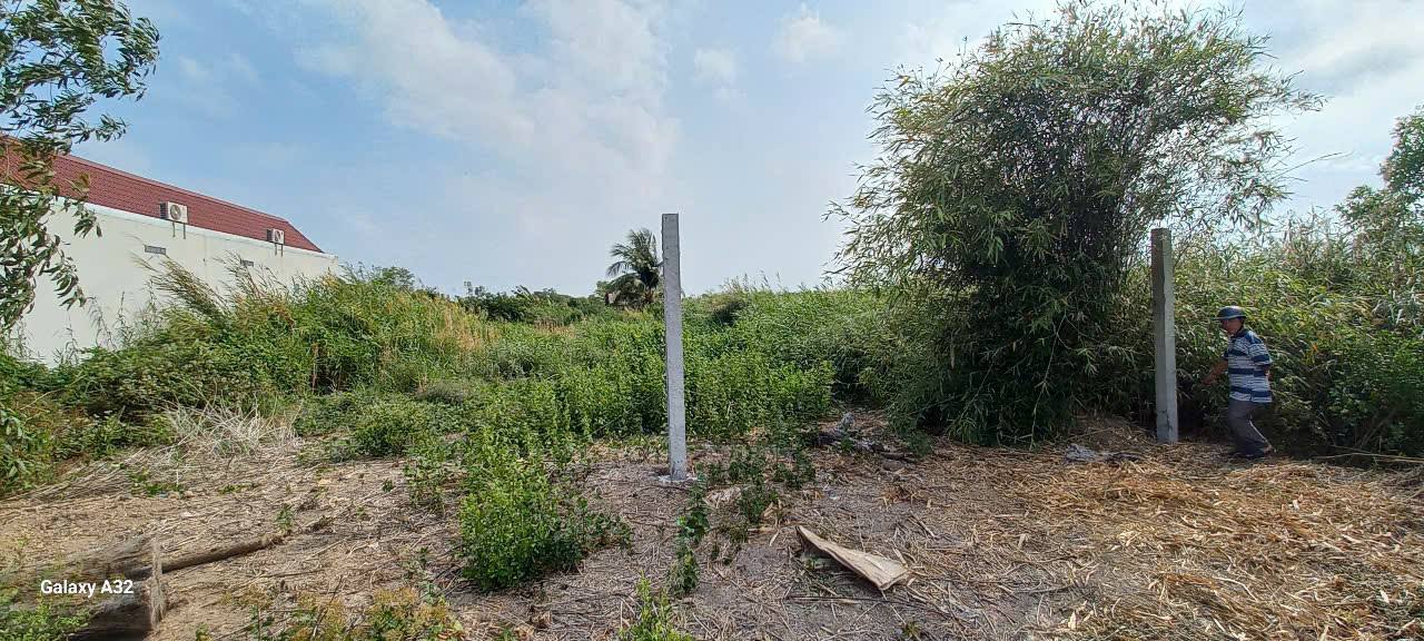 Đất nền 1116m² Lý Văn Lâm Cà Mau - Thích hợp xây nhà trọ hoặc làm vườn!