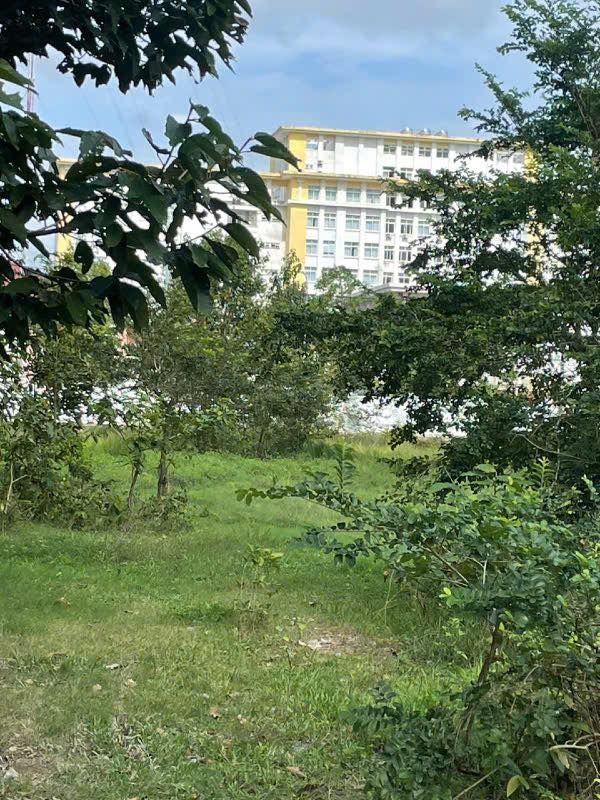 Đất nền 6000m² tại phường Nguyệt Hoá, Trà Vinh - Cơ hội đầu tư hấp dẫn!