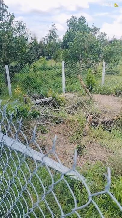 Đất nền Hòa Khánh, Cái Bè 504m² giá chỉ 780 triệu - Cơ hội đầu tư tuyệt vời!