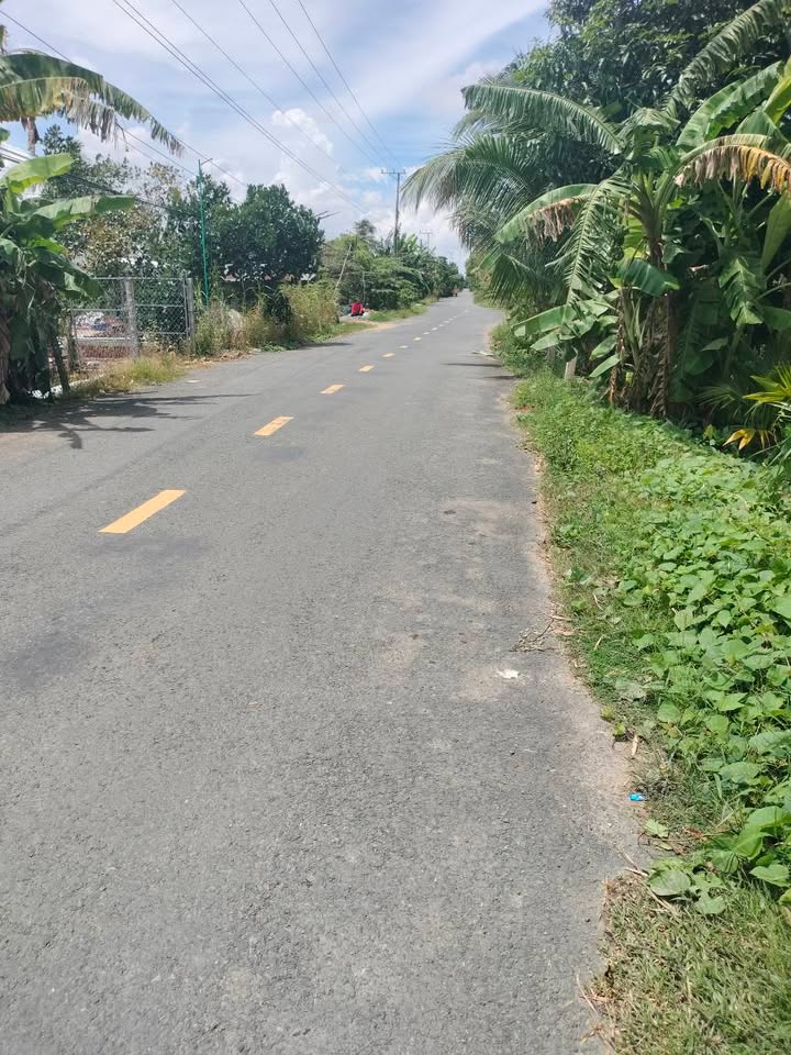 Đất nền chính chủ xã Thanh Mỹ 518m² giá 2.5 tỷ - Sẵn sàng giao dịch!