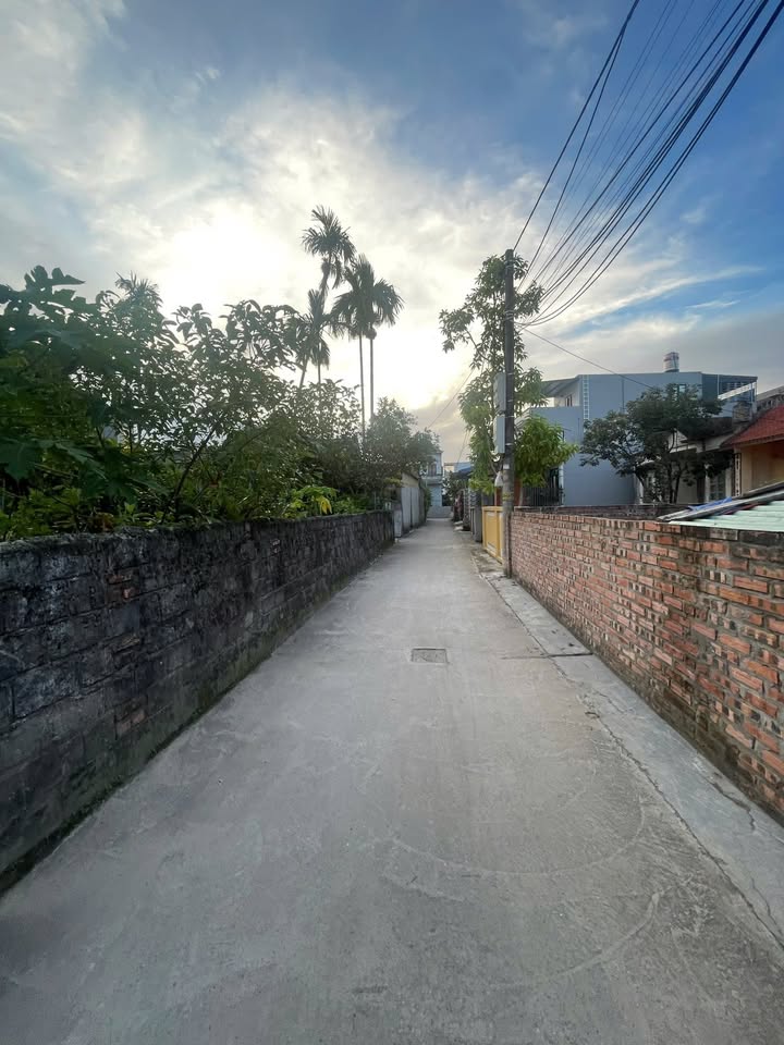 Đất Hồng Thái An Dương 82m² giá 1.45 tỷ - Đất chính chủ, không qua trung gian!