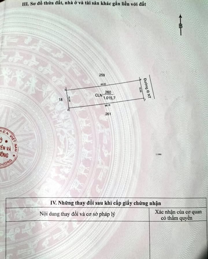 Đất nền 1000m² tại Thanh Tuyền, Dầu Tiếng - Giá thỏa thuận, cơ hội đầu tư hấp dẫn!