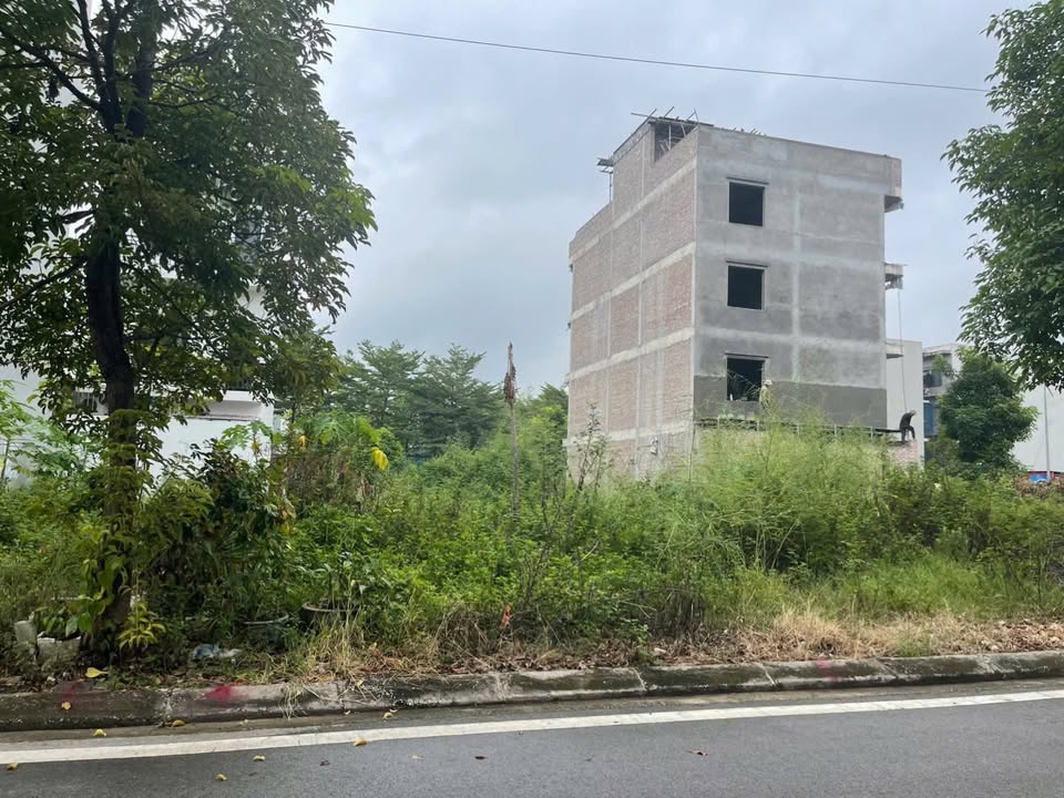 Đất nền dự án KĐT Bách Việt Dĩnh Kế 77m² giá 4 tỷ - Hướng Tây Nam thoáng mát!