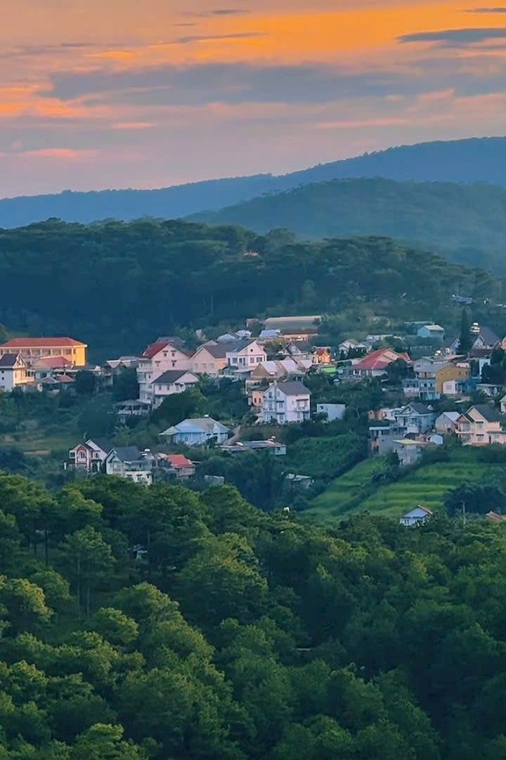 Đất ở Đà Lạt 429m² mặt tiền đường Mai Anh Đào - Đầu tư sinh lời tuyệt vời!