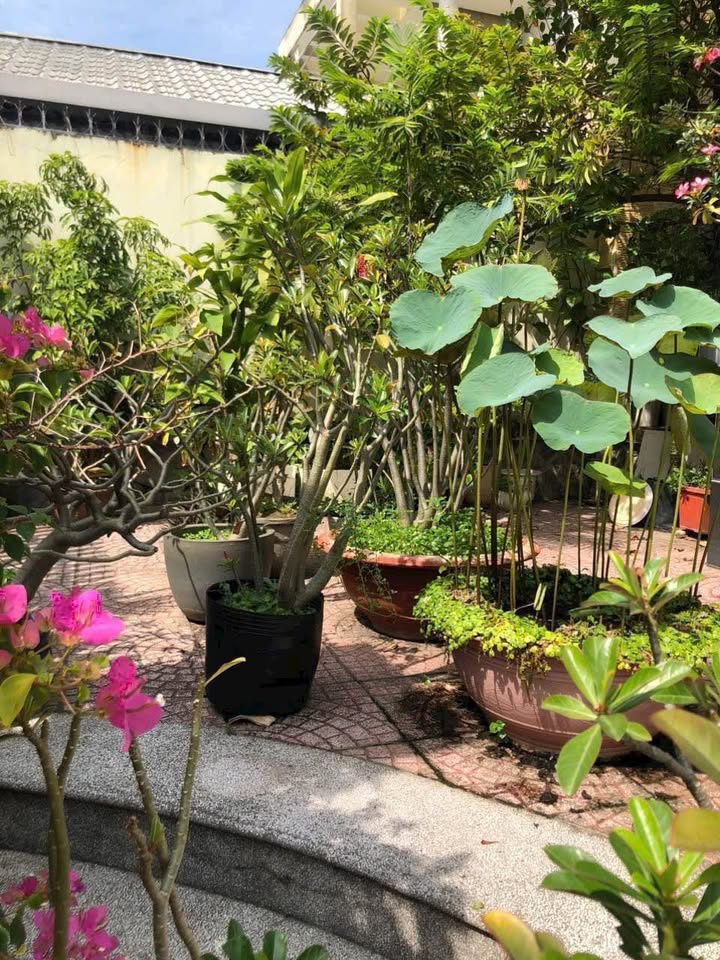 Nhà 2 tầng Tân Tiến, 252m² giá 11 tỷ - Sổ hồng chính chủ, thương lượng ngay!