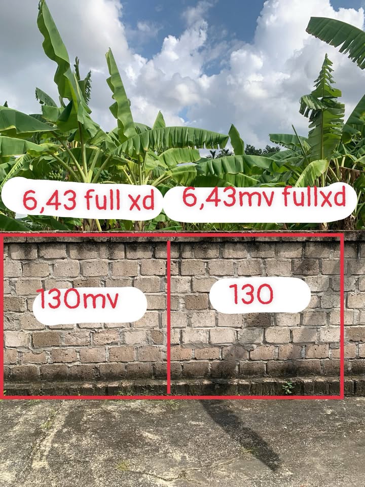 Lô đất Mạo Khê, Đông Triều 130m² giá 650 triệu - Cơ hội đầu tư hấp dẫn!