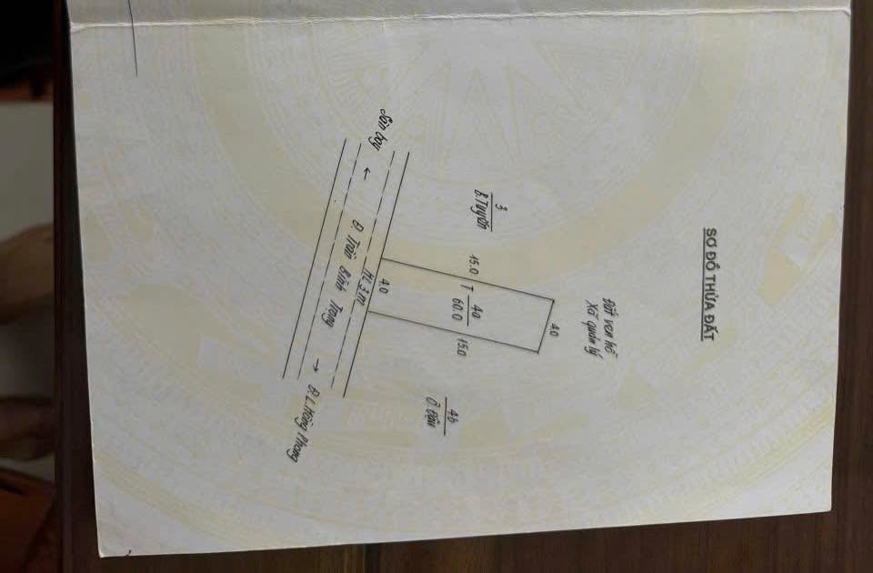 Đất nền mặt đường Trần Bình Trọng, phường Nam Cường, 120m² giá 1 tỷ - Đầu tư sinh lời cao!