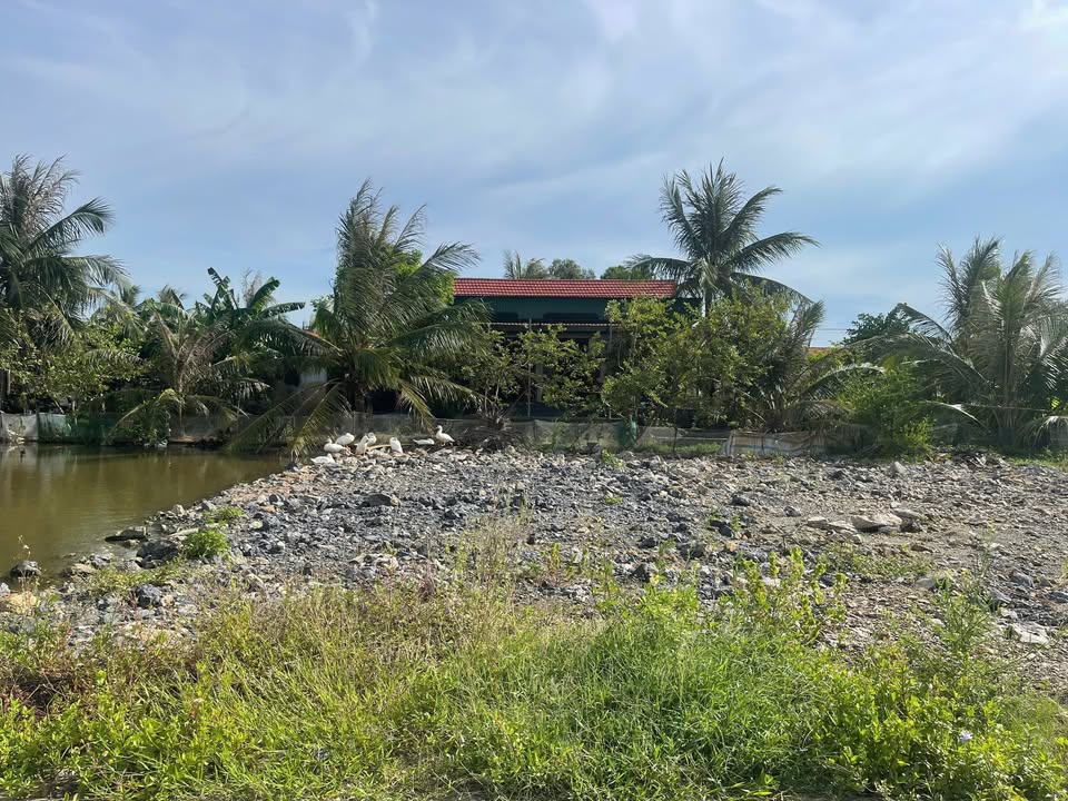 Đất nền Quỳnh Bảng, Quỳnh Lưu 170m² giá chỉ 700 triệu - Cơ hội đầu tư tuyệt vời!