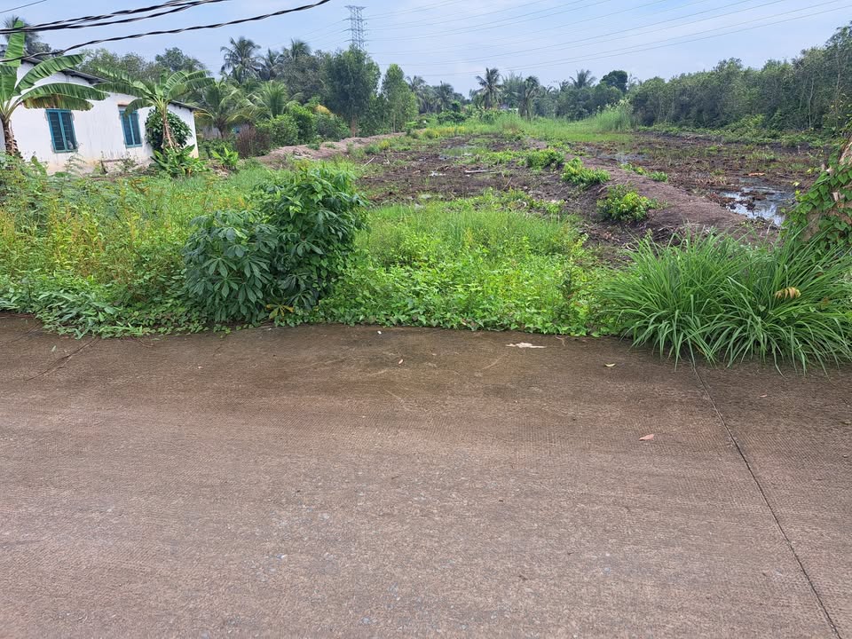 Đất vườn 1350m² tại ấp 1B, xã Hựu Thạnh, giá 4.2 tỷ - Tiềm năng kinh doanh lớn!