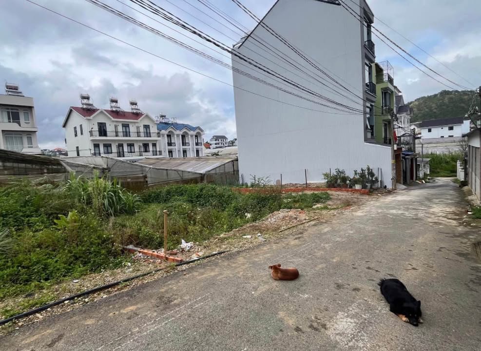 Đất nền KQH Nguyễn Hữu Cầu, Đà Lạt 200m² giá 7 tỷ - Đầu tư sinh lời!