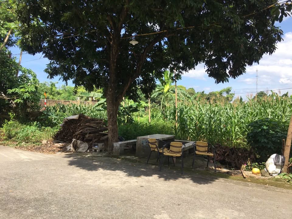 Đất nền khu phố 9, phường Nam Sơn, 67.5m² giá 800 triệu - Gần uỷ ban và trạm y tế!