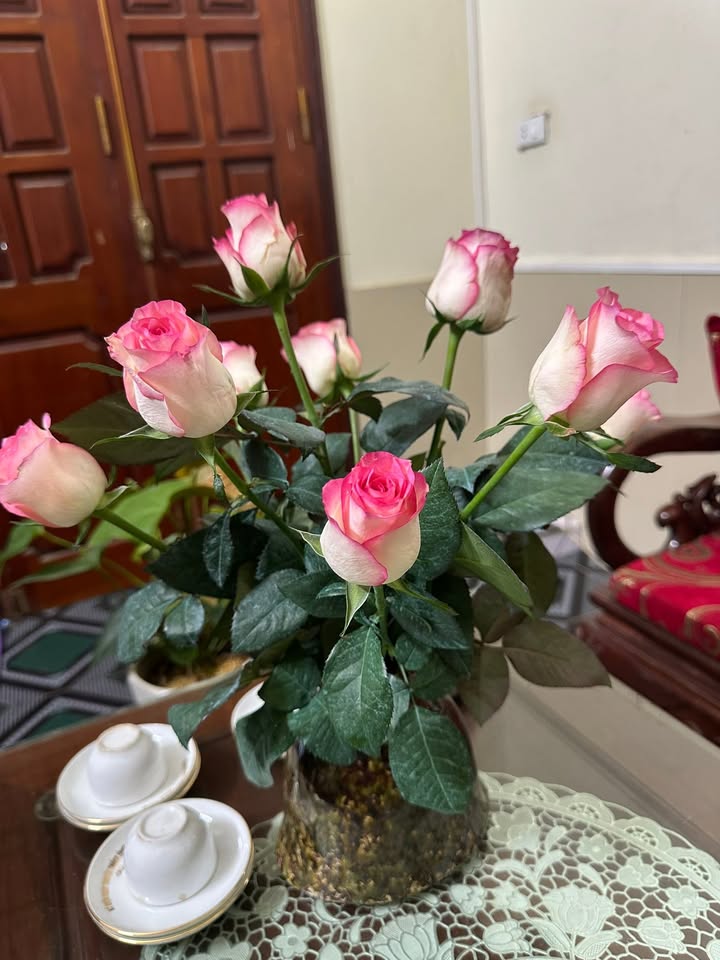 Đất nền Trung Sơn, 83.52m², giá 1 tỷ - Sổ đỏ chính chủ, đầu tư sinh lời!